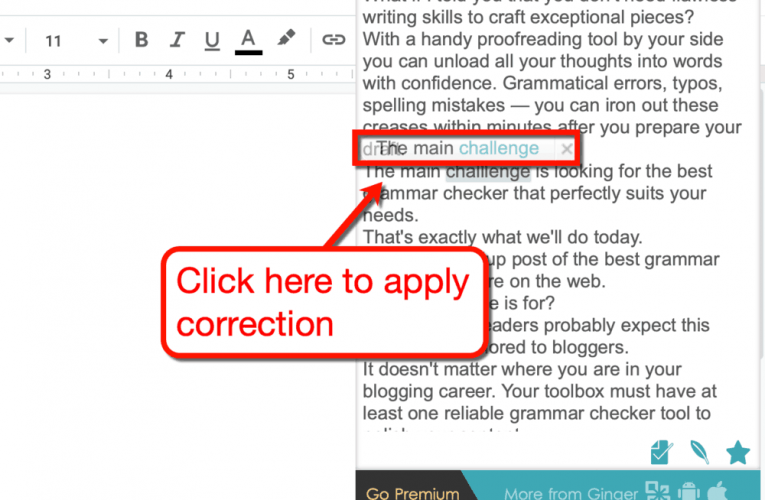 After the Deadline – Inline Spell Checker